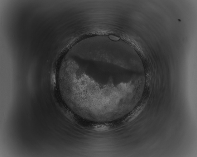 X0000100310358200806190947