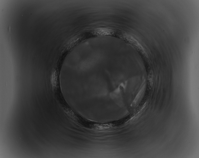 X0000100310359200806190947