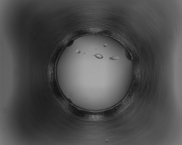 X0000100310360200806190947