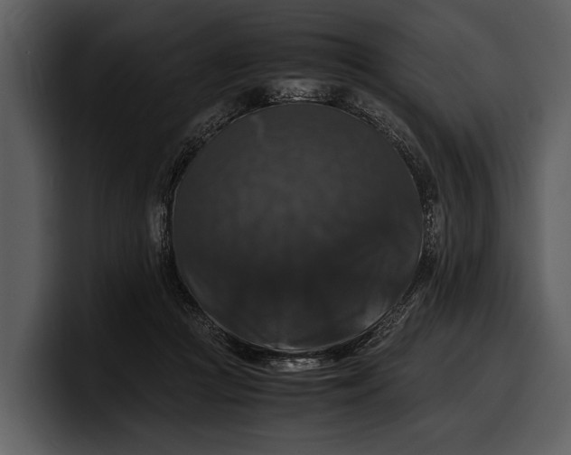 X0000100310361200806190947