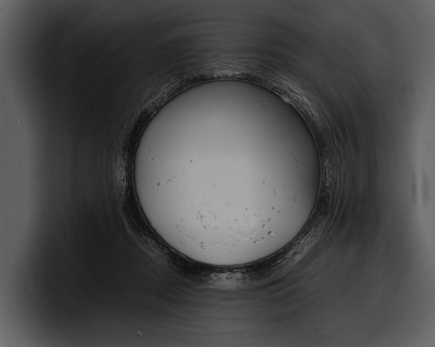 X0000100310362200806190947