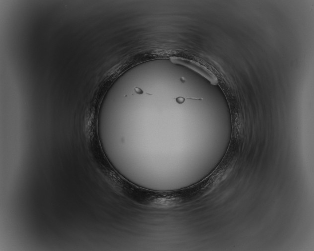 X0000100310364200806190947