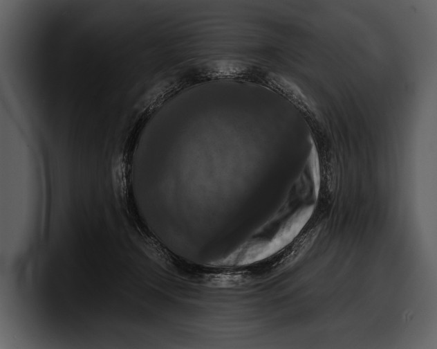 X0000100310366200806190947