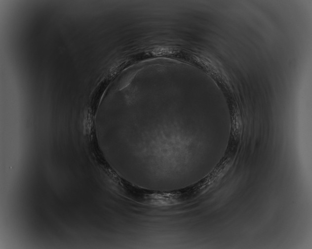 X0000100310367200806190947