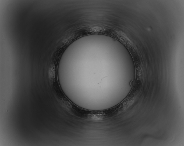 X0000100310368200806190947