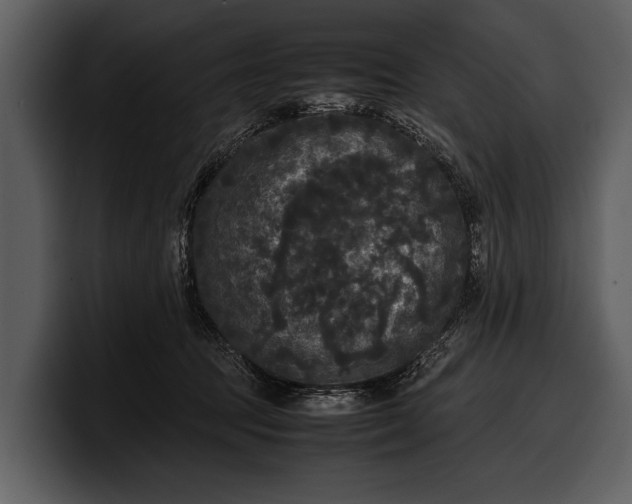 X0000100310369200806190947