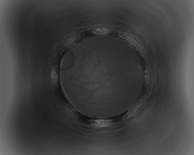 X0000100310371200806190947