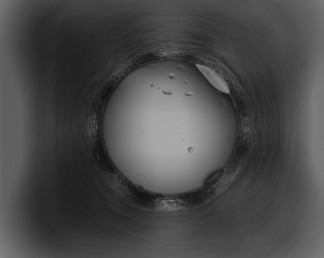 X0000100310372200806190947