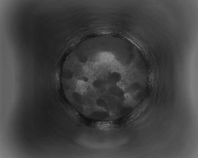 X0000100310373200806190947