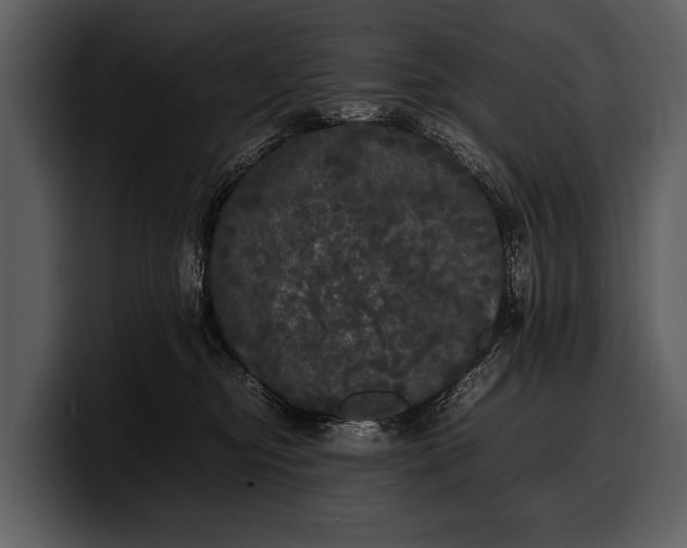 X0000100310374200806190947