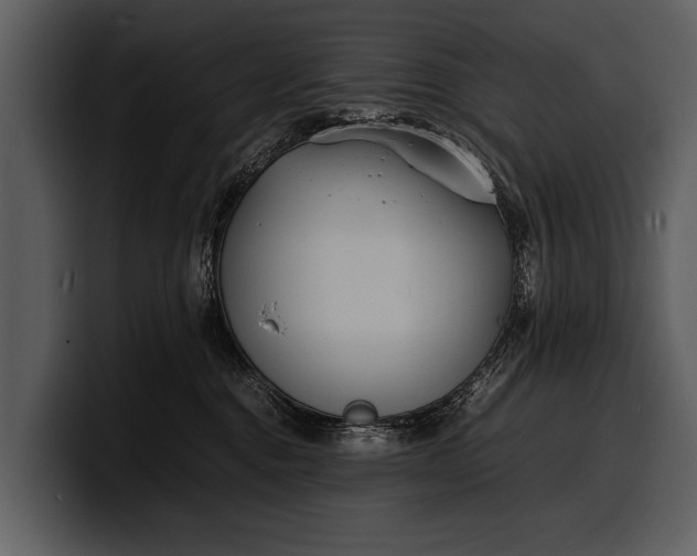 X0000100310376200806190947