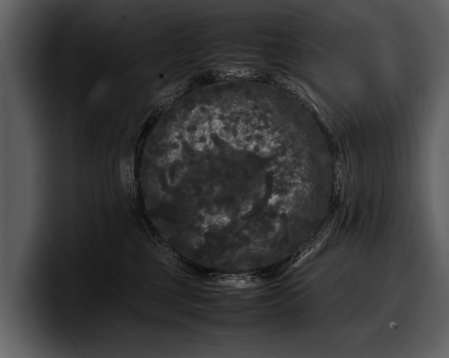 X0000100310377200806190947