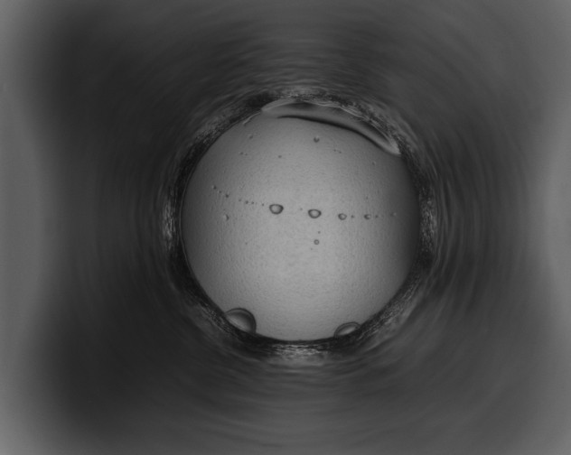 X0000100310380200806190947