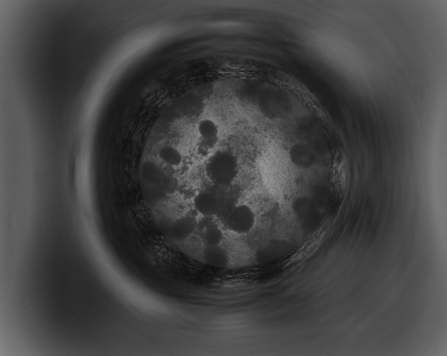X0000100310381200806190947