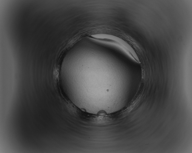 X0000100310382200806190947