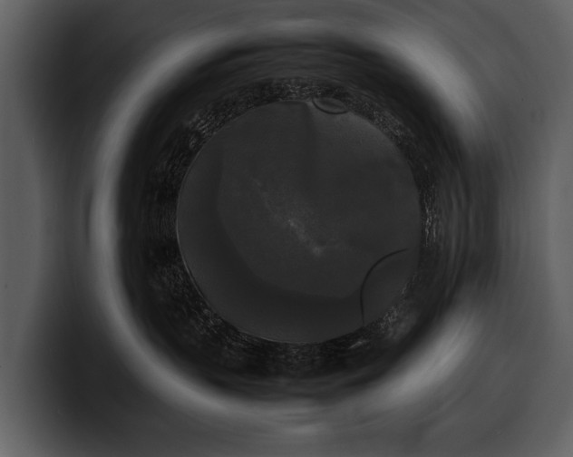X0000100310383200806190947