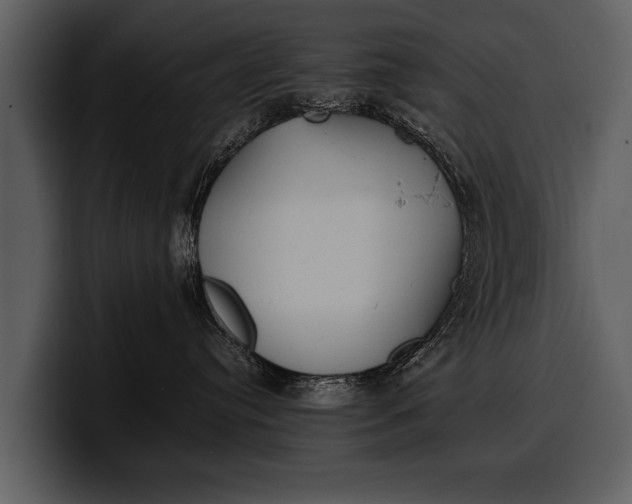 X0000100310384200806190947