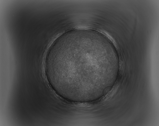 X0000100310385200806190947