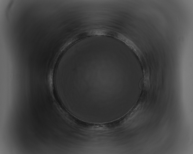 X0000100310386200806190947