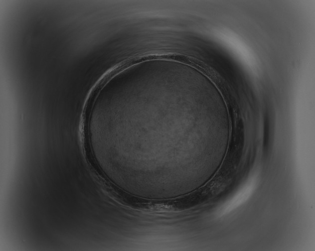 X0000100310387200806190947