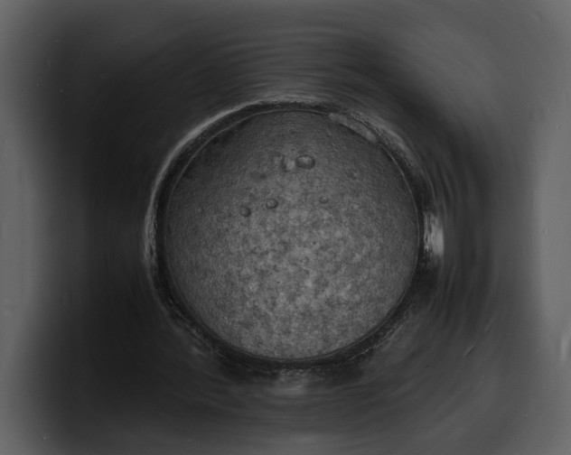X0000100310388200806190947