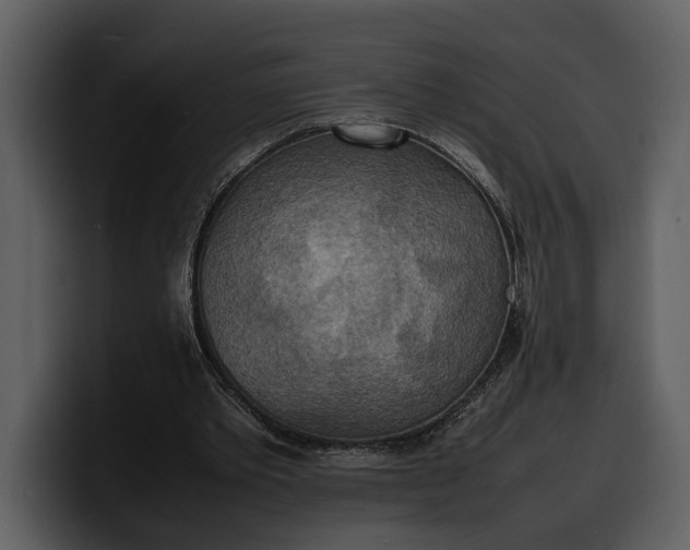X0000100310389200806190947