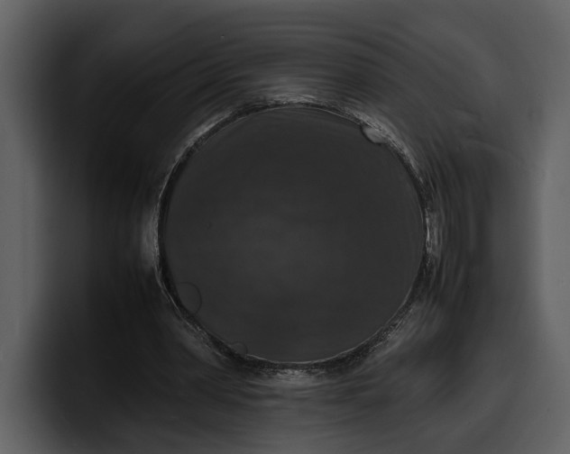 X0000100310390200806190947