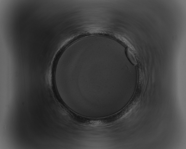 X0000100310391200806190947
