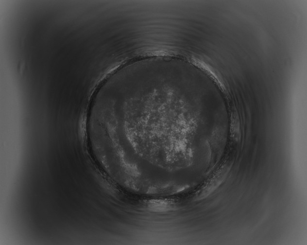 X0000100310394200806190947