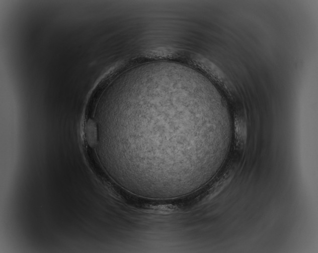 X0000100310396200806190946