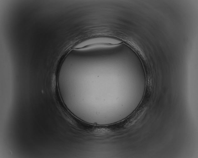 X0000100310397200806190946