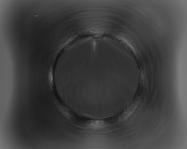X0000100310398200806190946