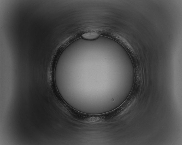 X0000100310399200806190946