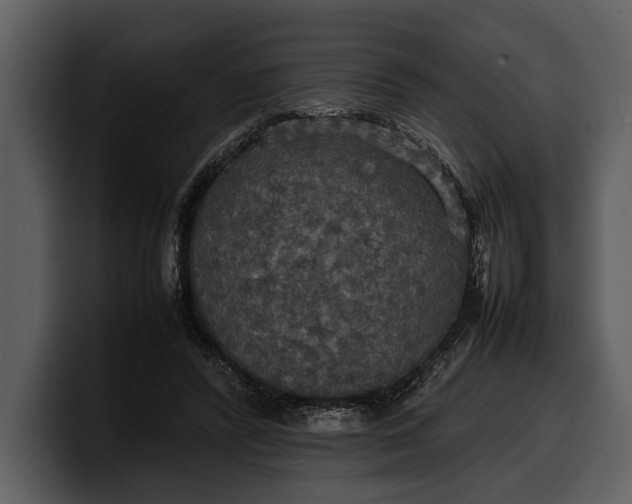 X0000100310400200806190946