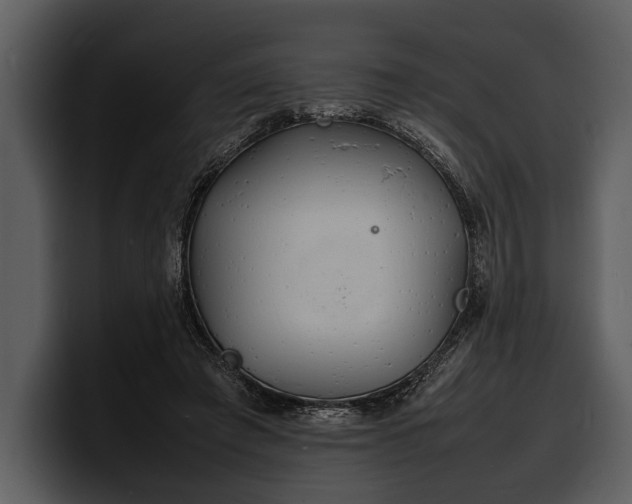 X0000100310401200806190946
