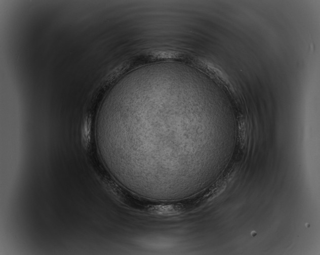 X0000100310406200806190946