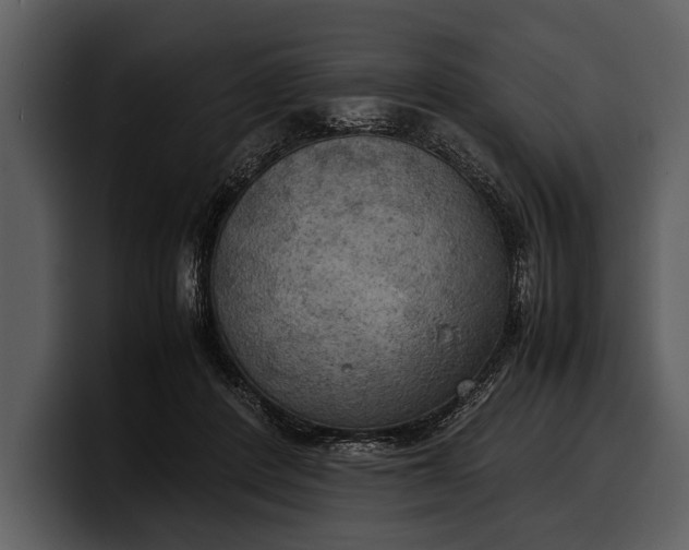 X0000100310408200806190946