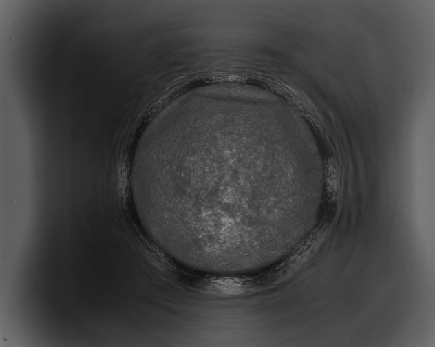 X0000100310409200806190946