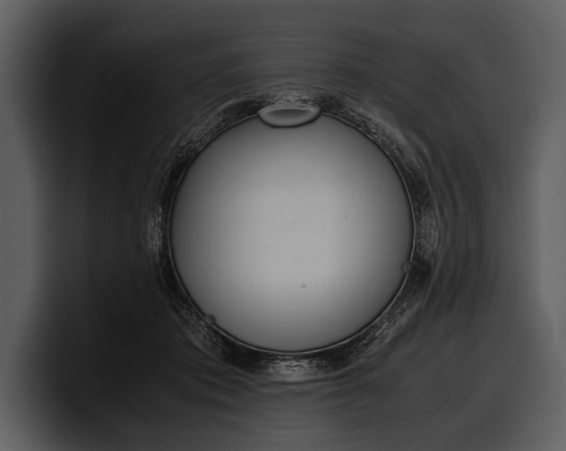 X0000100310413200806190946