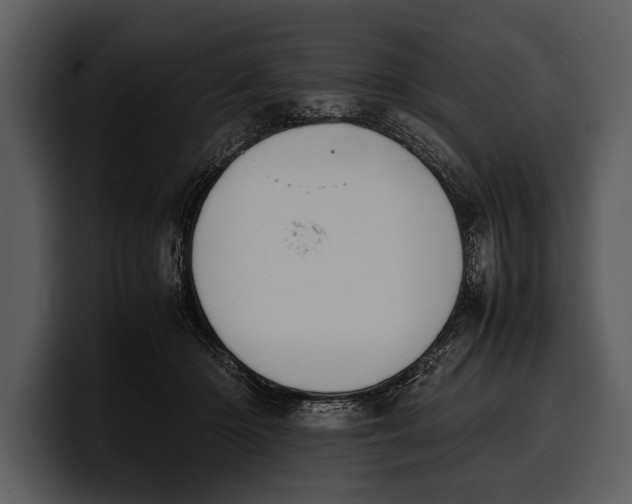X0000100310414200806190946