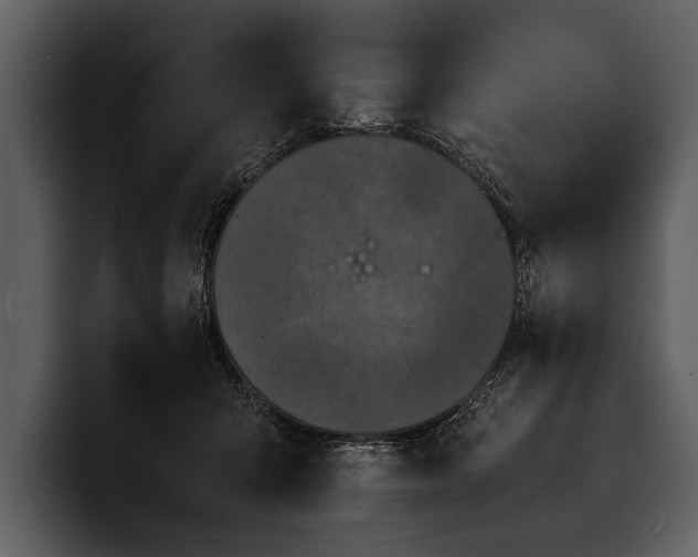X0000100310415200806190946