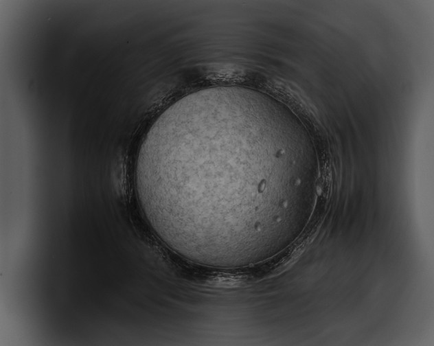 X0000100310416200806190946