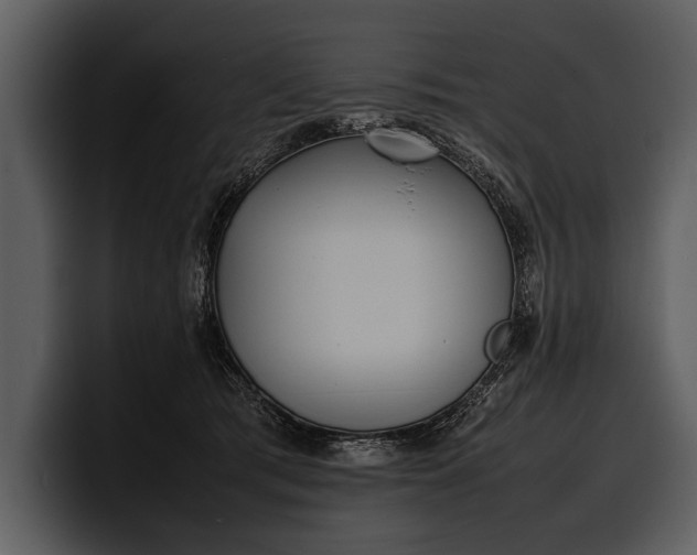 X0000100310417200806190946