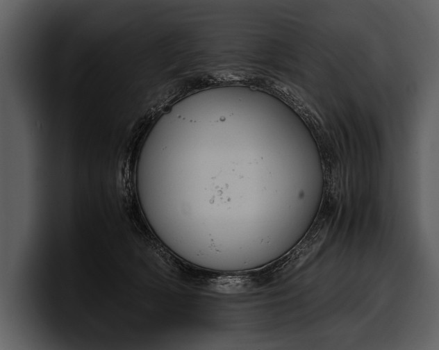 X0000100310418200806190946