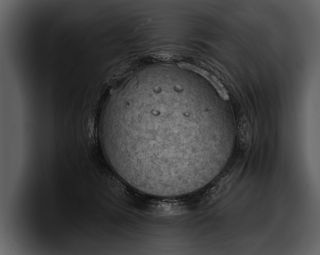 X0000100310420200806190946