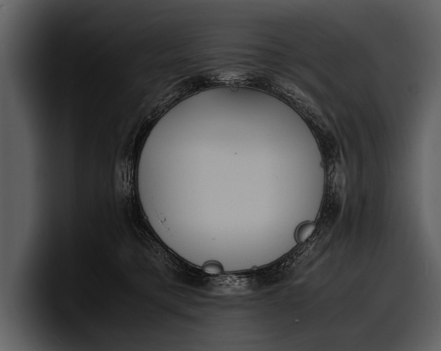 X0000100310421200806190946