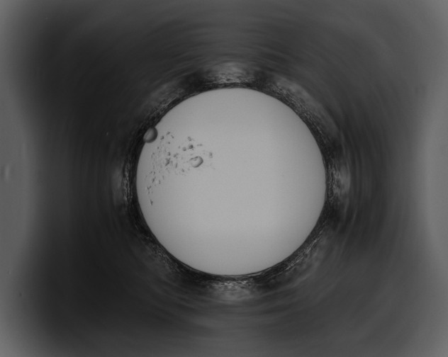 X0000100310422200806190946