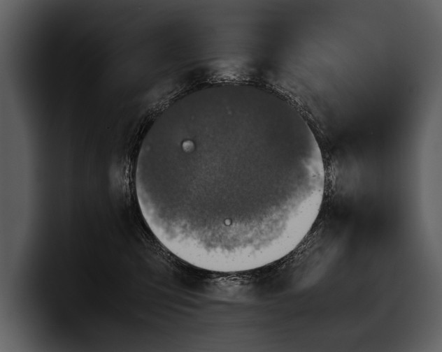 X0000100310423200806190946