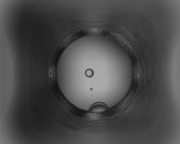 X0000100310425200806190946