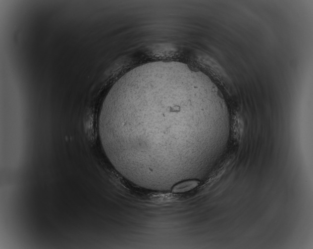 X0000100310428200806190946